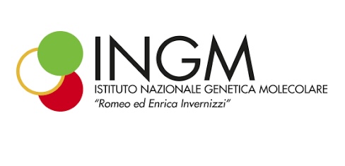 Fondazione Istituto Nazionale Genetica Molecolare - INGM